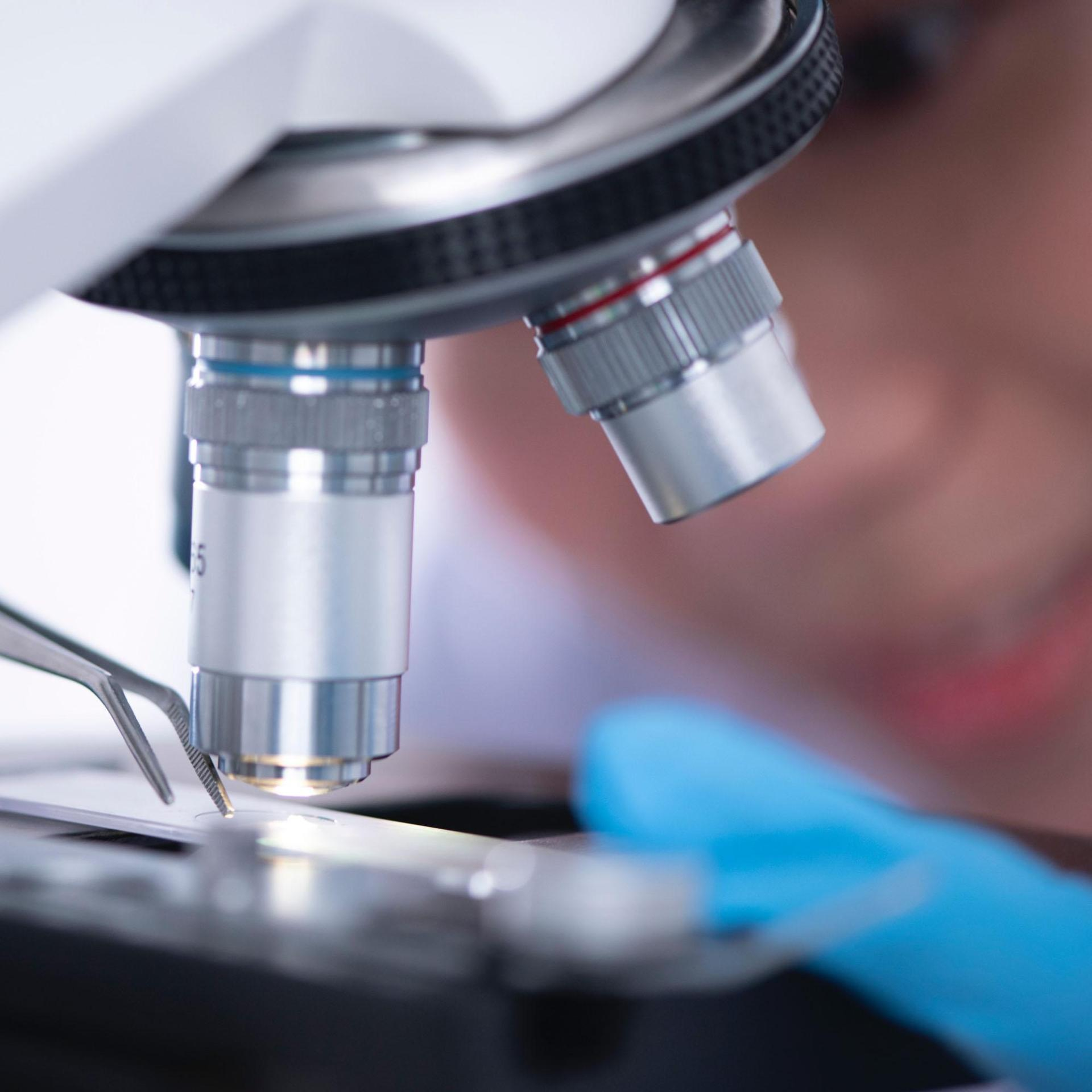 Decades of Expertise in API Development Experienced API Manufacturing Specialists